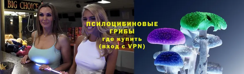 Цена Химки A-PVP  MDMA  МЕФ  Гашиш  Бошки Шишки 